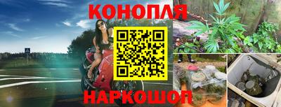амф Анжеро-Судженск
